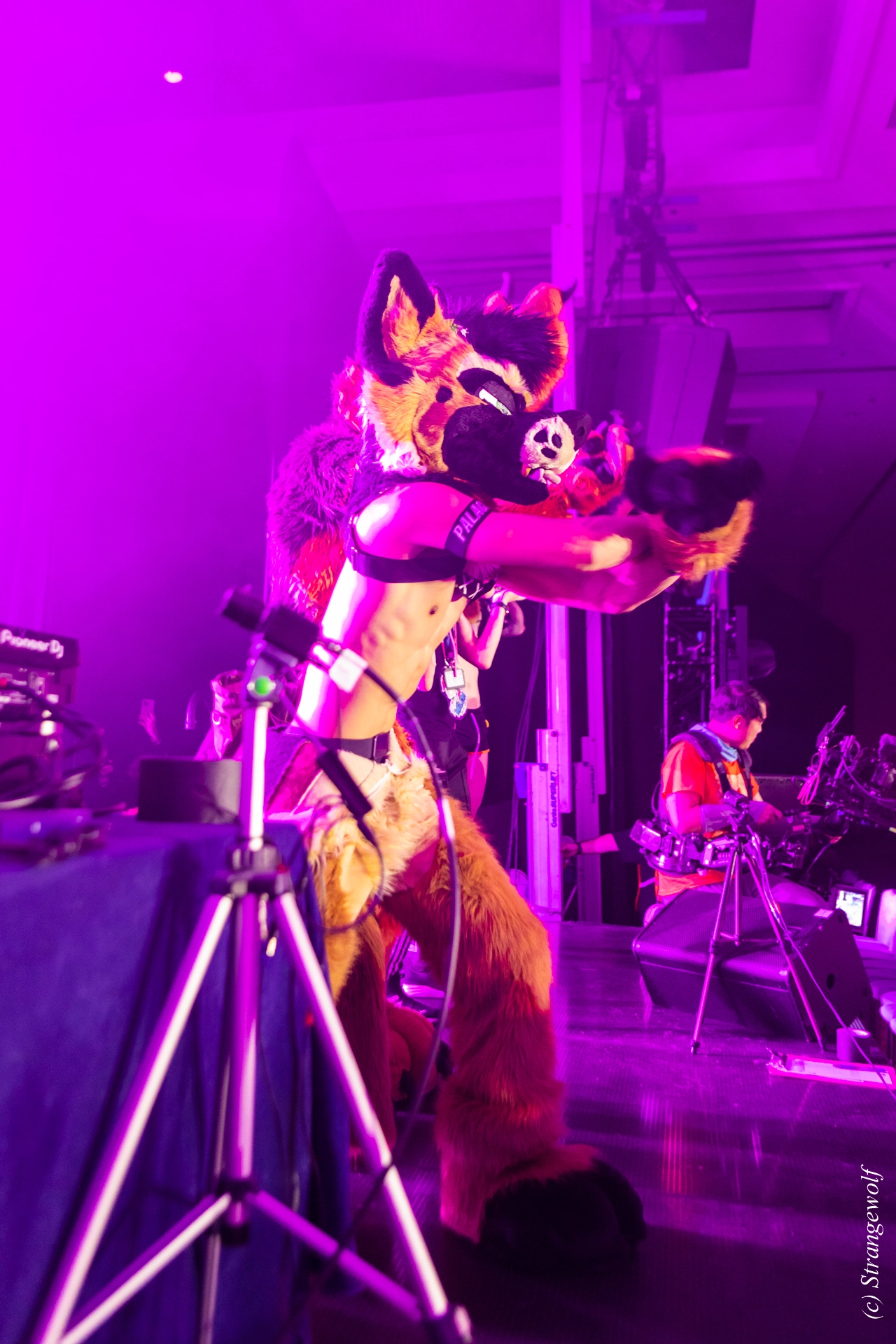 full image 1R3A7233-lr19t.jpg