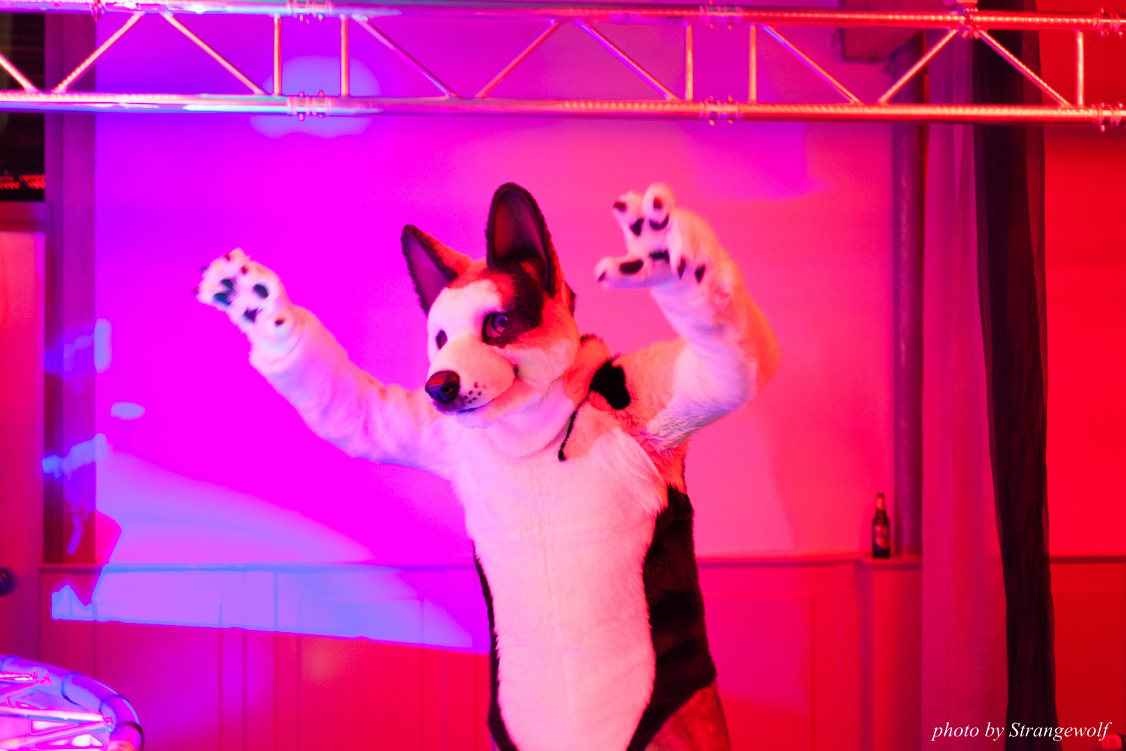 full image IMG_5368-lr16t.jpg