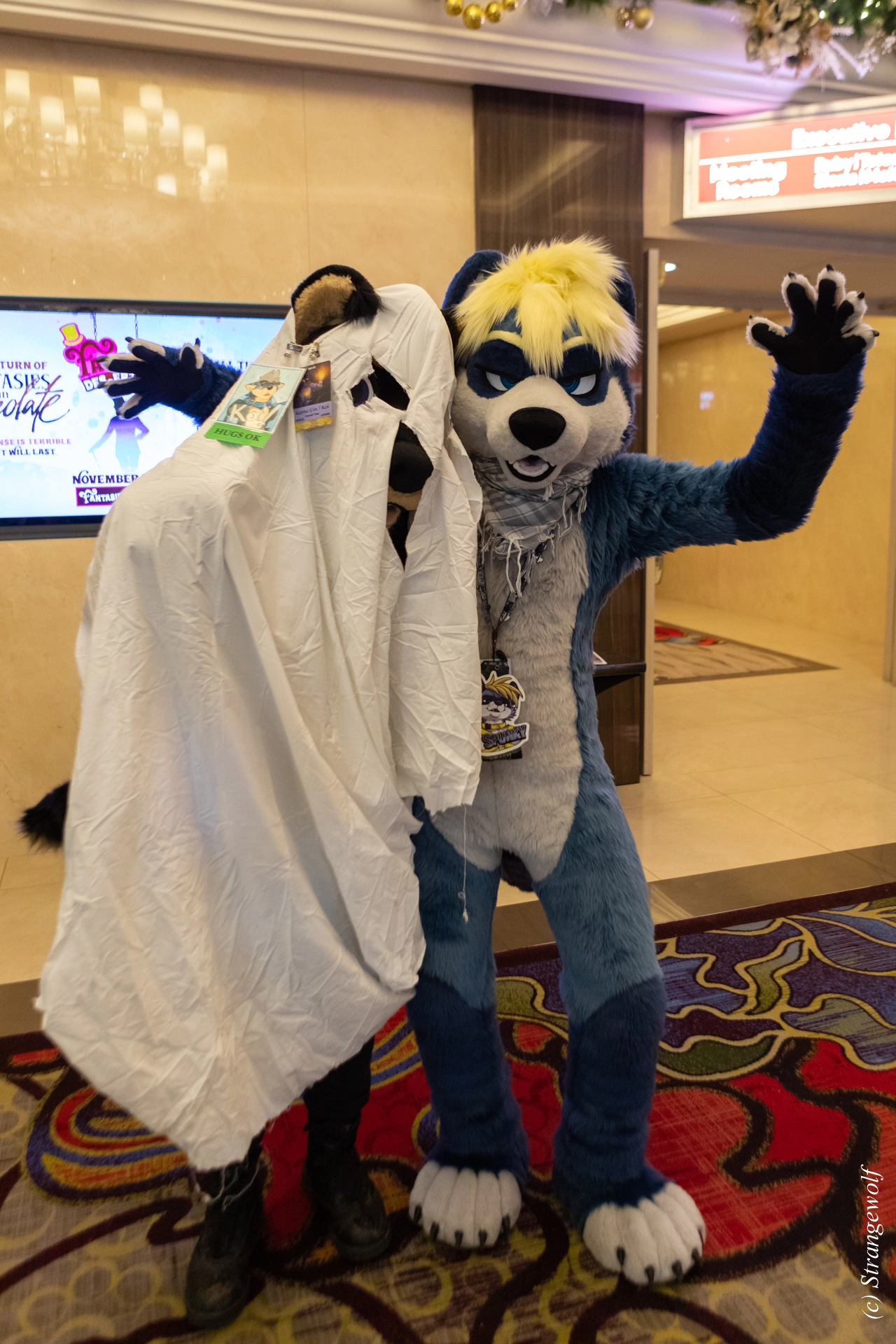 full image 1R3A3127-lr19t.jpg
