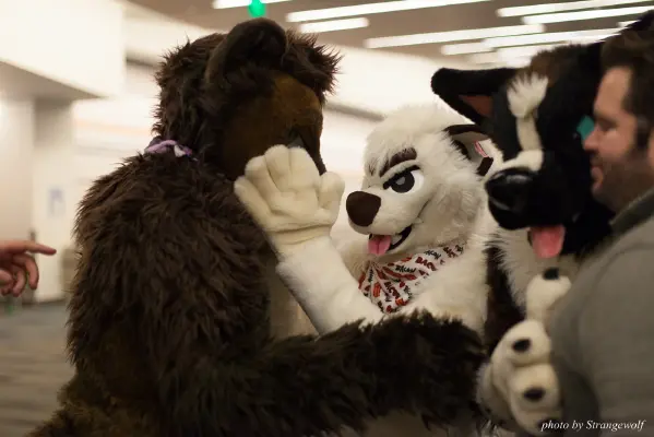 IMG_1199-lr16t.jpg of FC/FC2017/