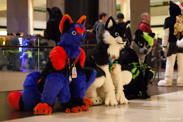 IMG_6568-lr19t.jpg of MFF/MFF2015/