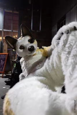1R3A2611-lr19t.jpg of Furstrike/Furstrike 2022/