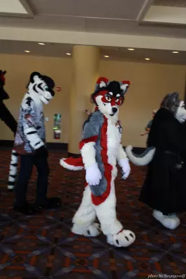 IMG_0541-lr.jpg of MFF/MFF2013/