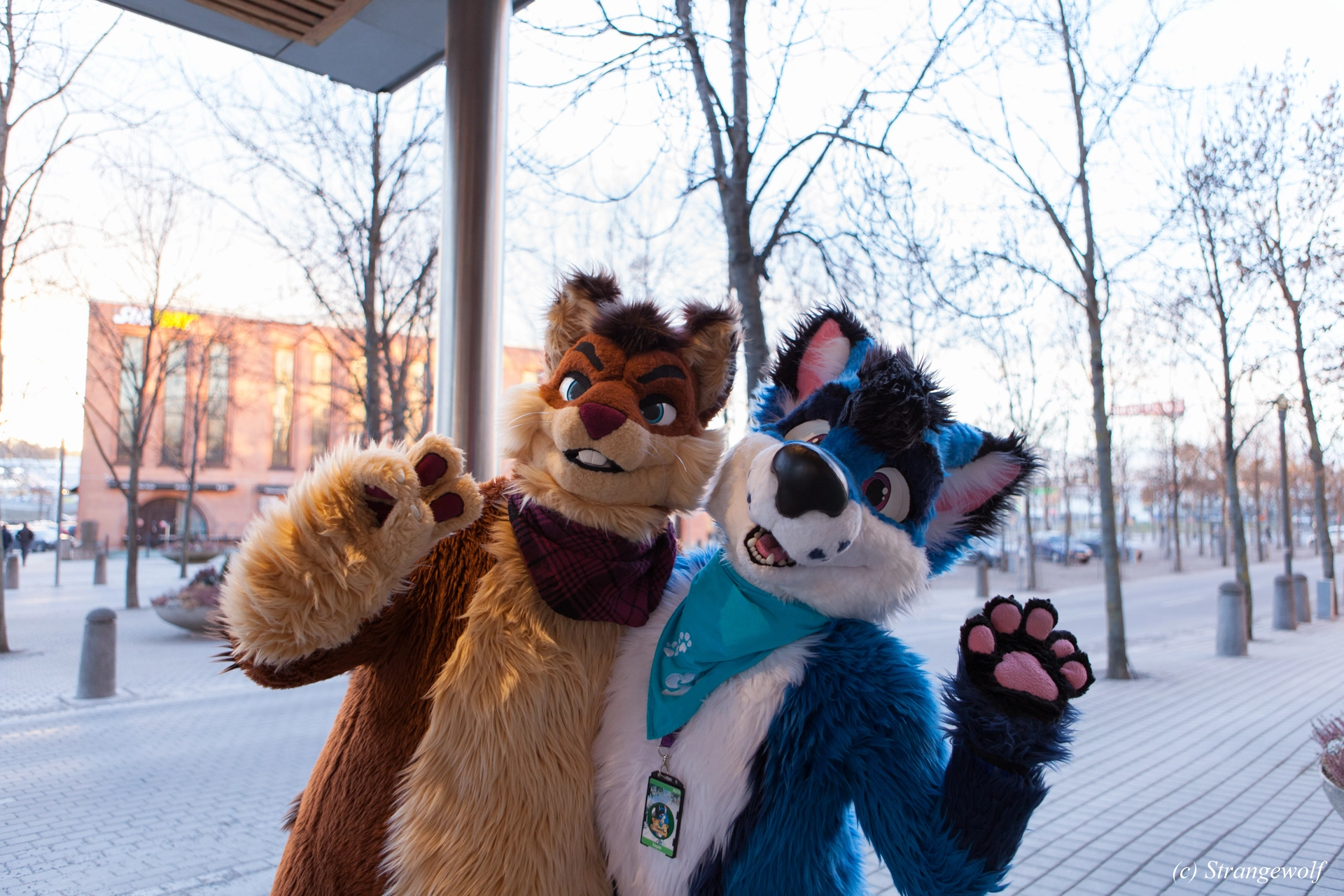 full image IMG_8892-lr19t.jpg