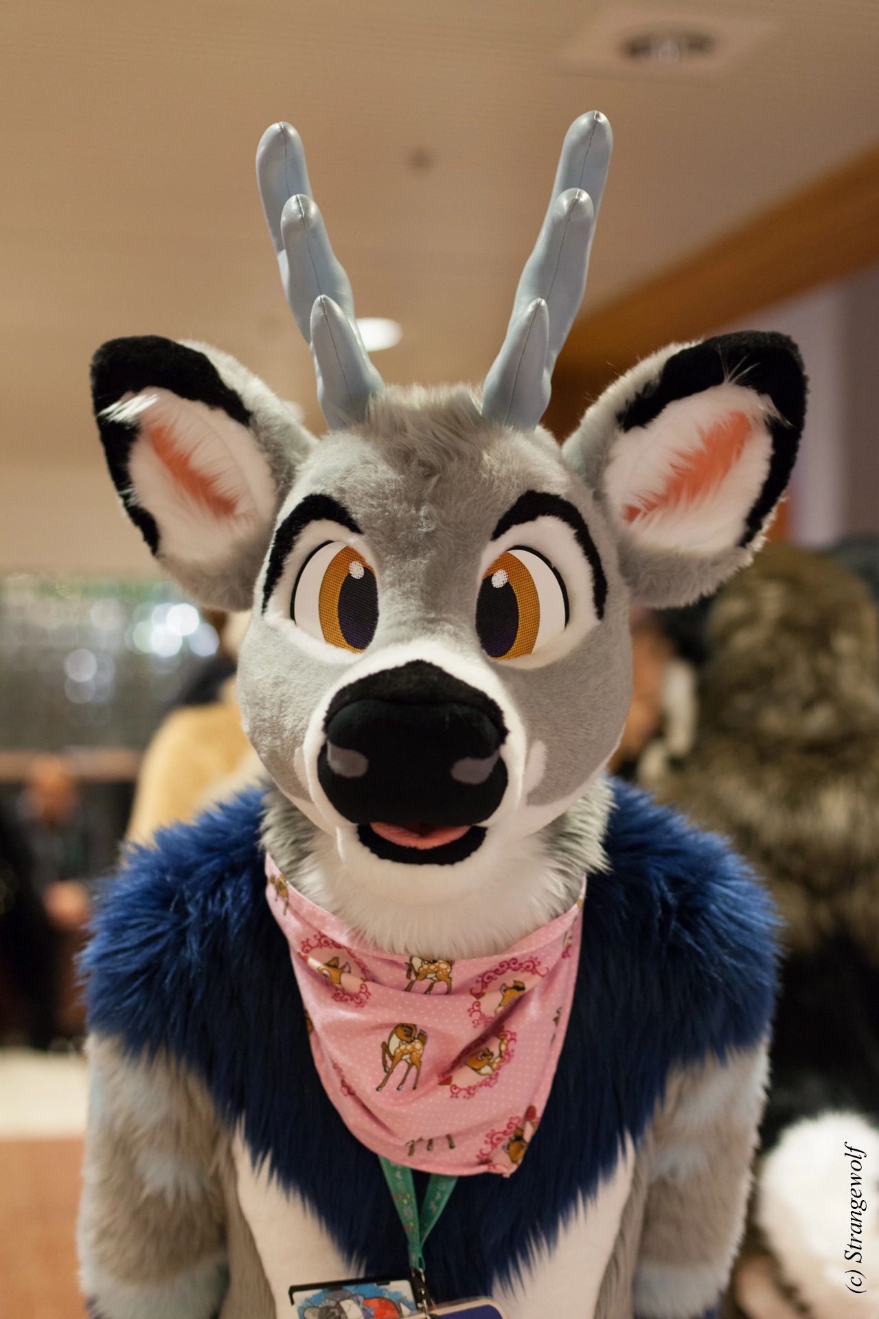 full image IMG_9159-lr19t.jpg