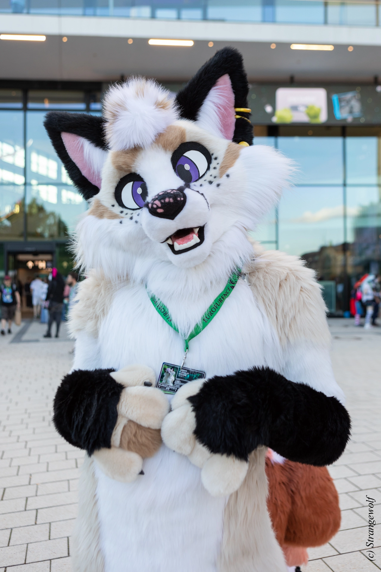 full image 1R3A9353-lr19t.jpg