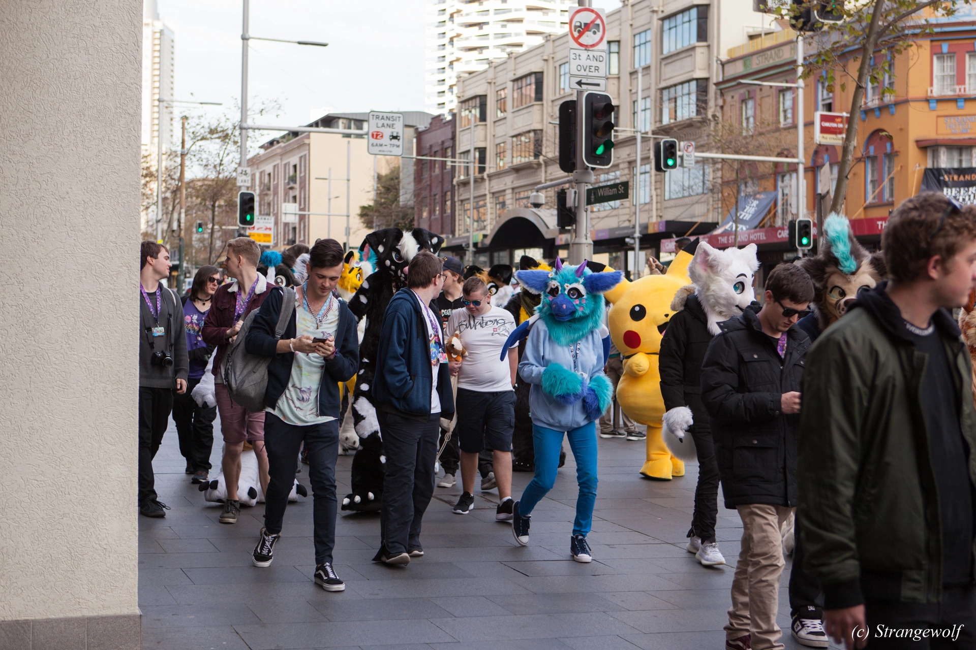 full image IMG_4606-lr19t.jpg