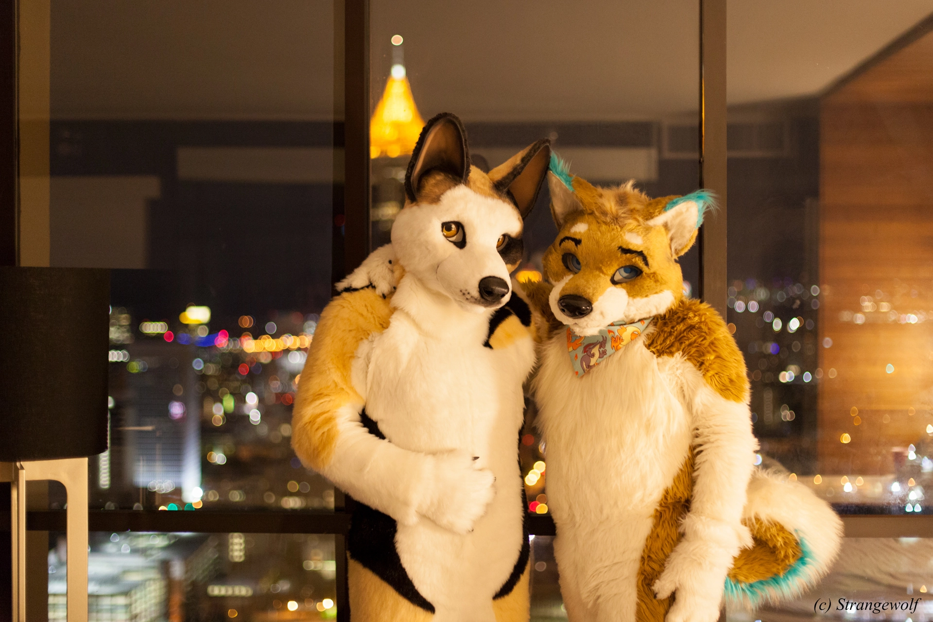 full image IMG_2120-lr19t.jpg