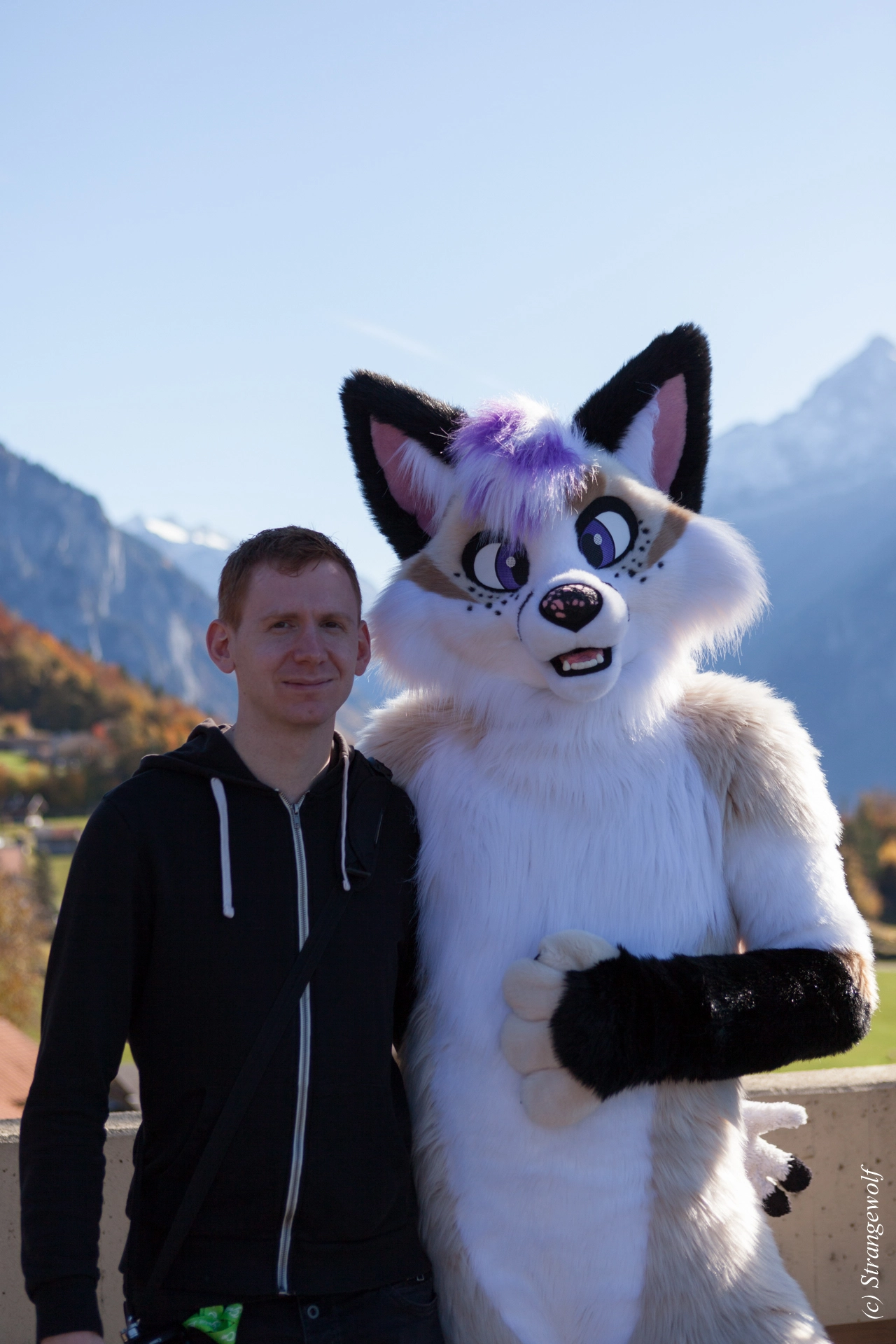 full image IMG_0500-lr19t.jpg