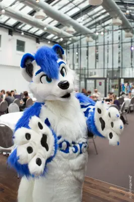 IMG_5354-lr19t.jpg of EF/EF24/