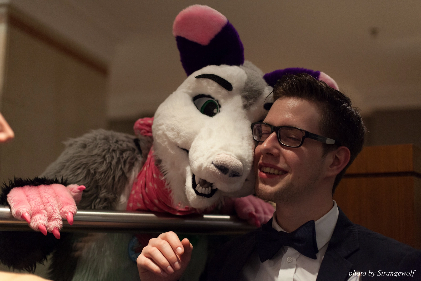 full image IMG_7715-lr16t.jpg