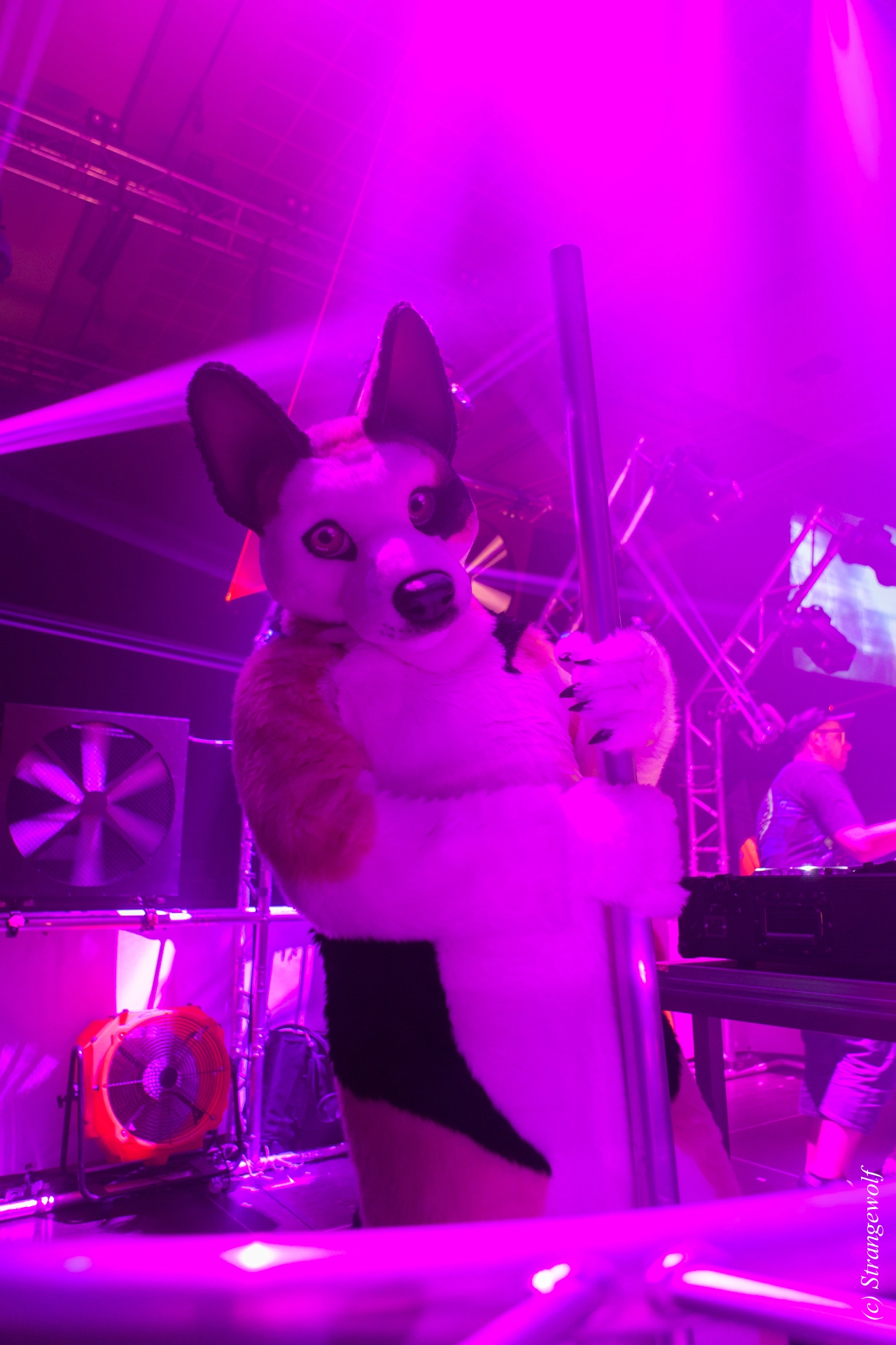 full image IMG_5046-lr19t.jpg