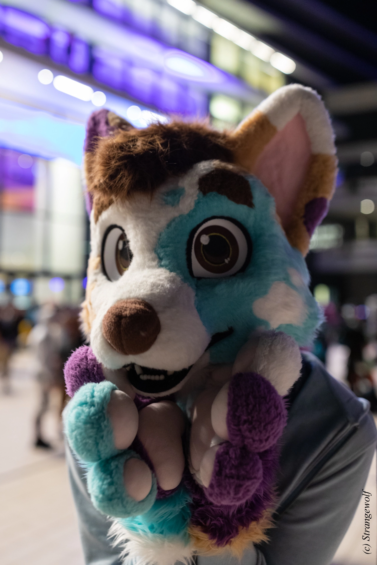 full image 1R3A9448-lr19t.jpg