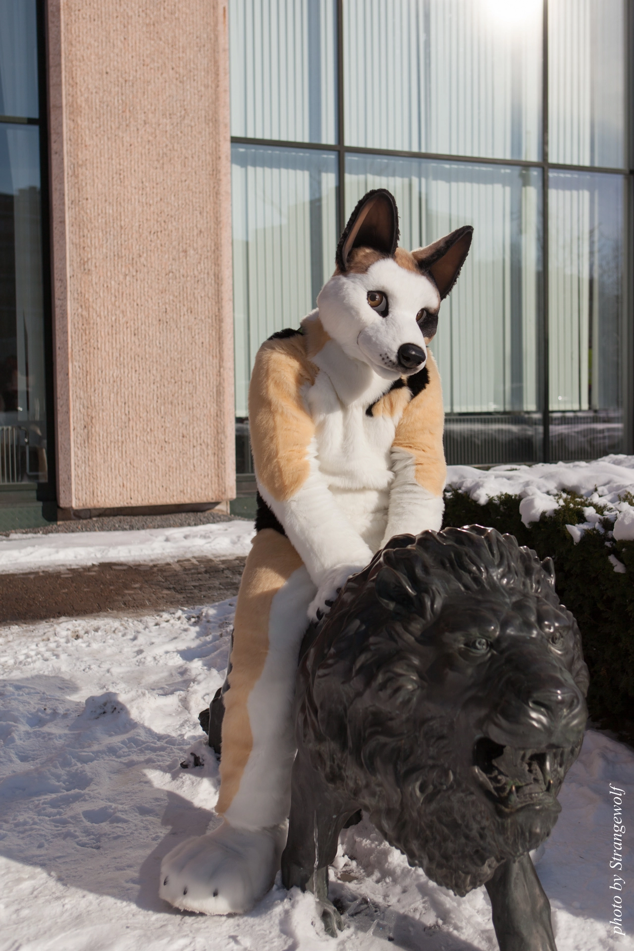 full image IMG_9573-lr19t.jpg