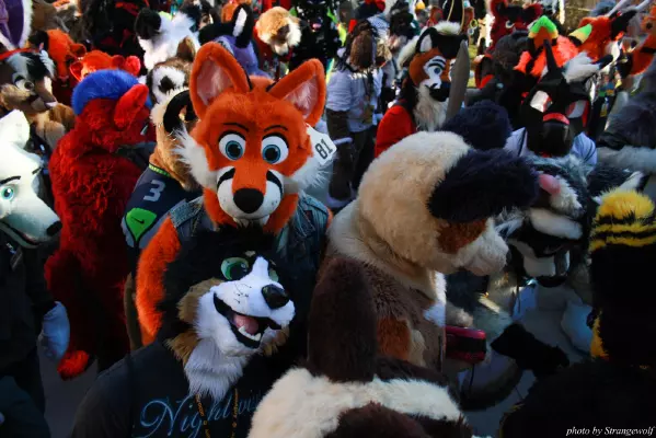 IMG_0678-lr.jpg of MFF/MFF2013/