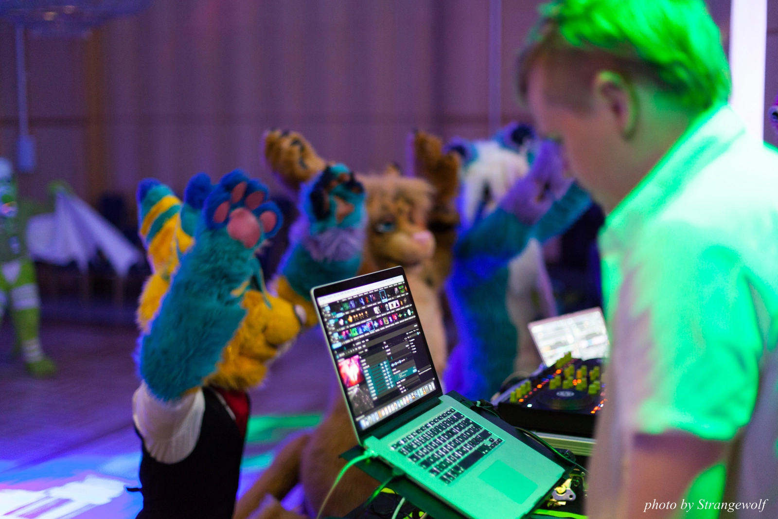 full image IMG_2193-lr16t.jpg