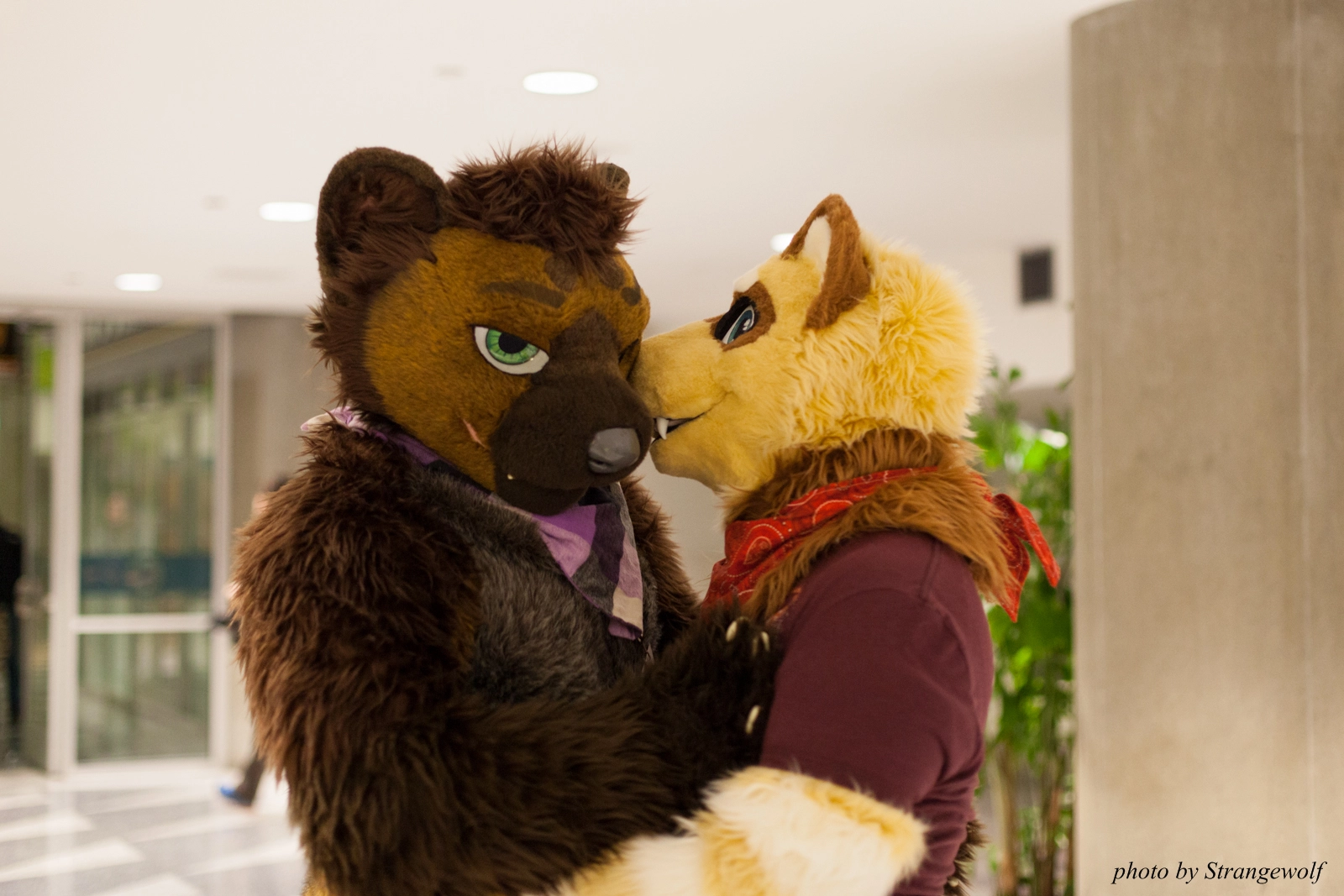 full image IMG_1101-lr16t.jpg