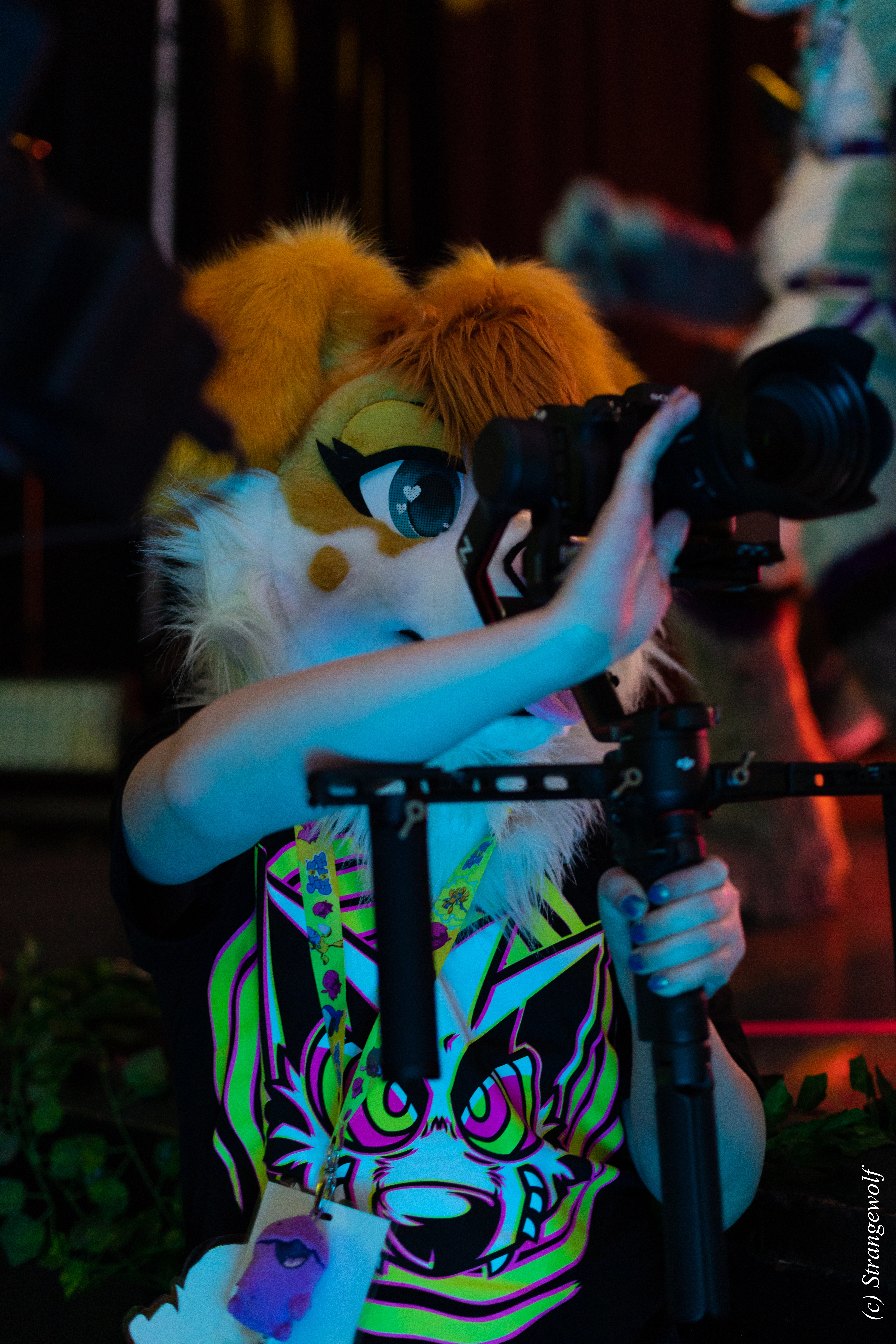 full image 1R3A0543-lr.jpg