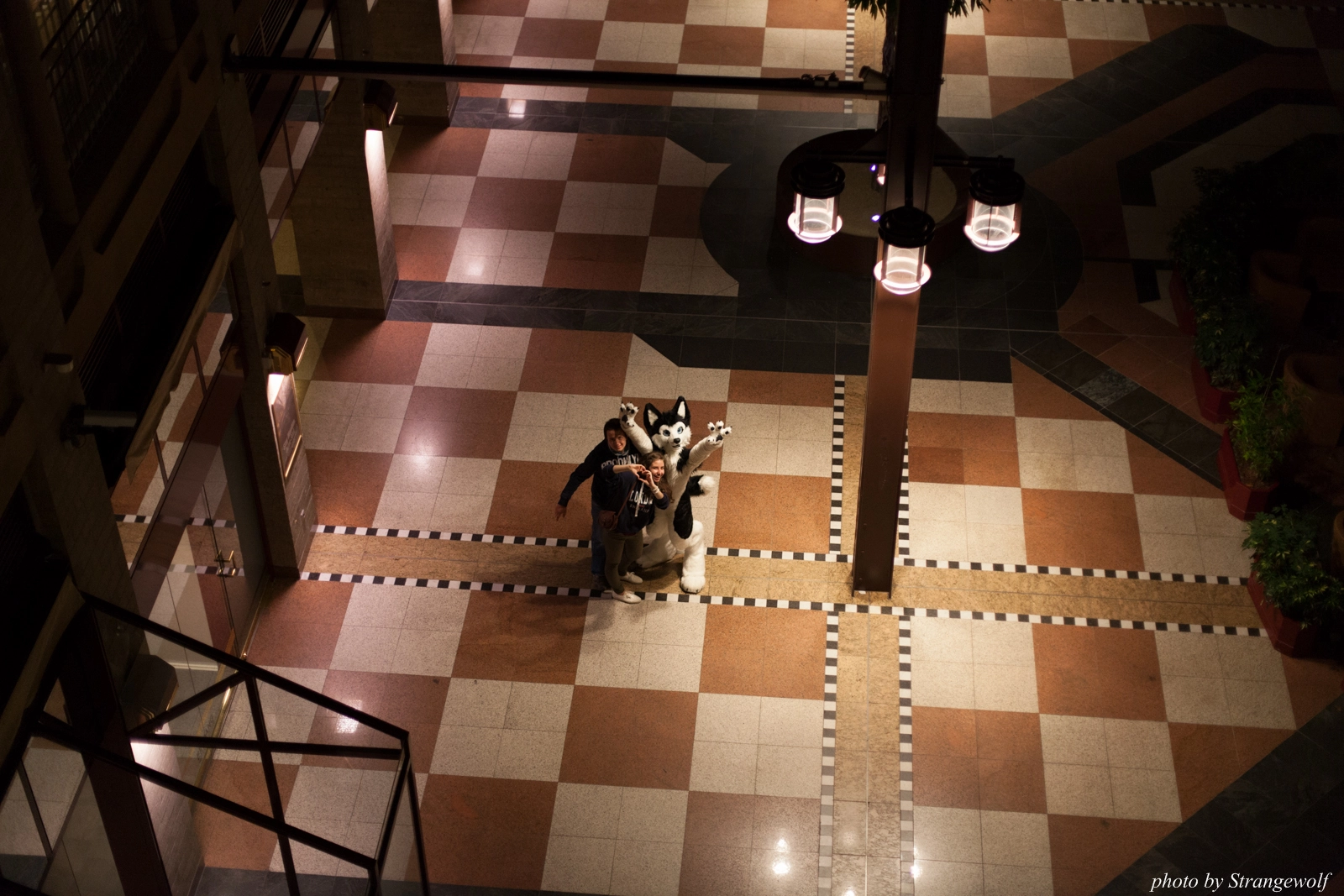 full image IMG_1286-lr16t.jpg