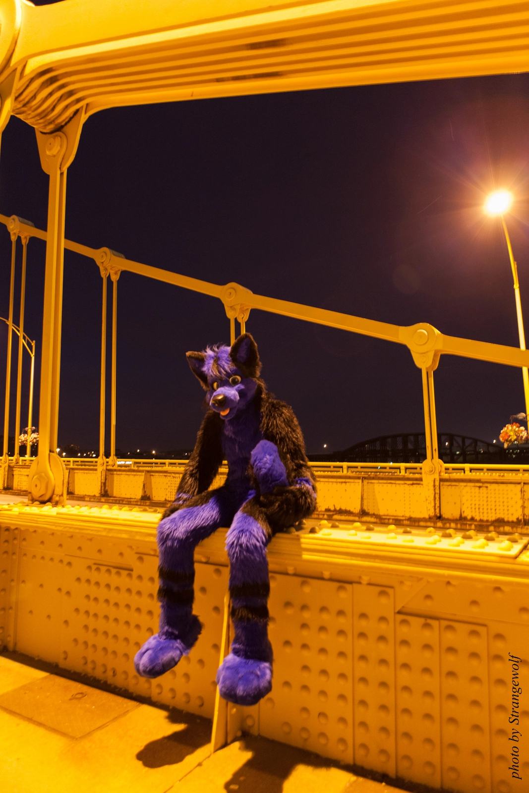 full image IMG_8482-lr16t.jpg