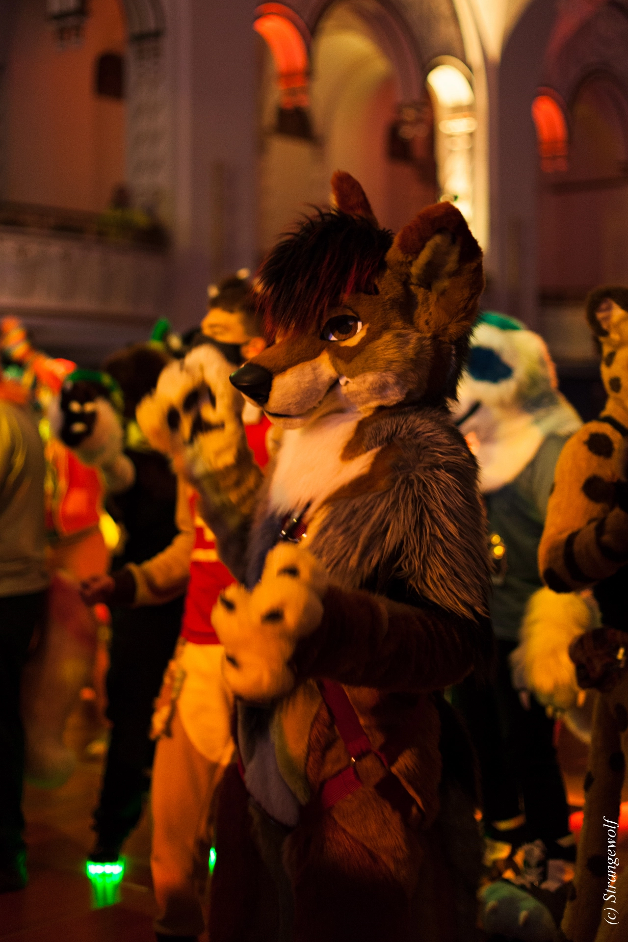 full image IMG_2990-lr19t.jpg