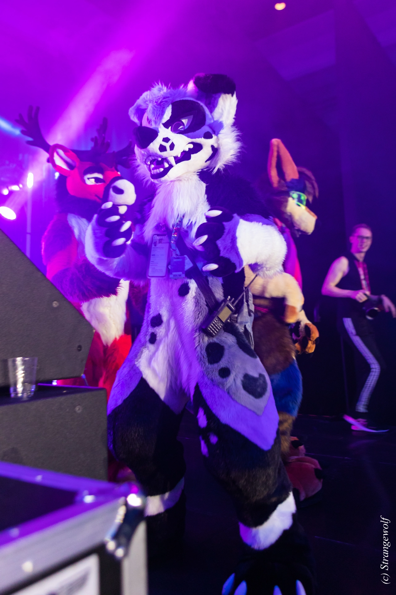 full image 1R3A5382-lr19t.jpg