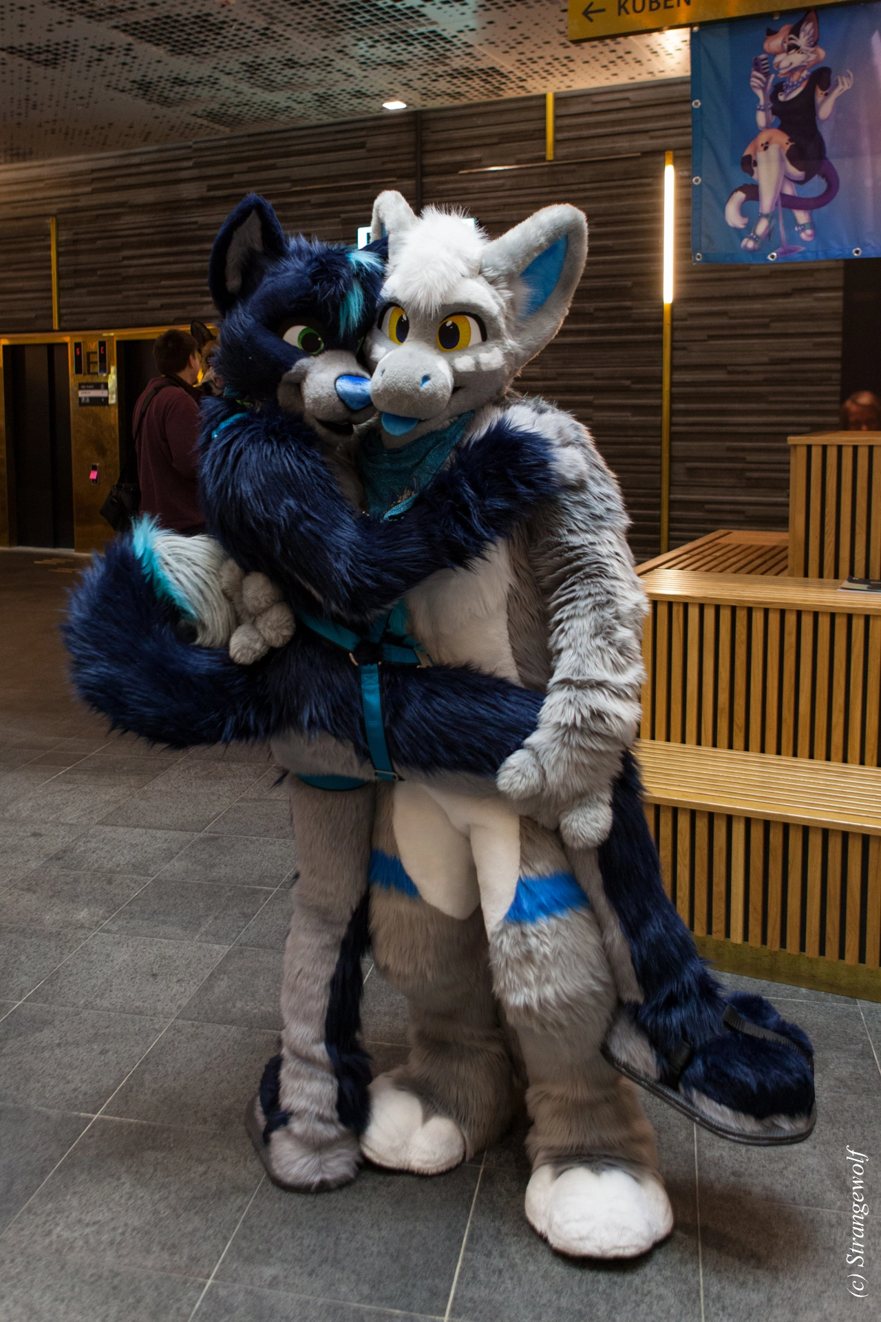 full image IMG_8357-lr19t.jpg