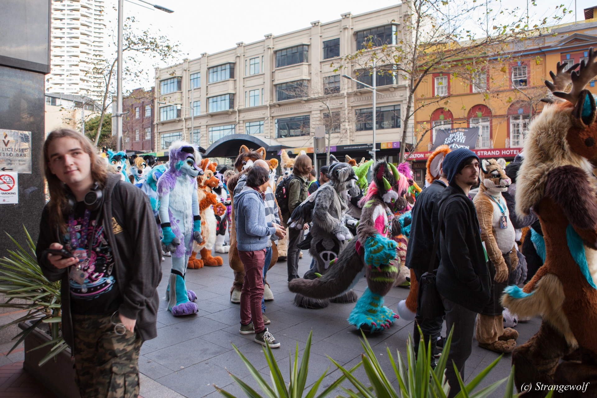 full image IMG_4586-lr19t.jpg