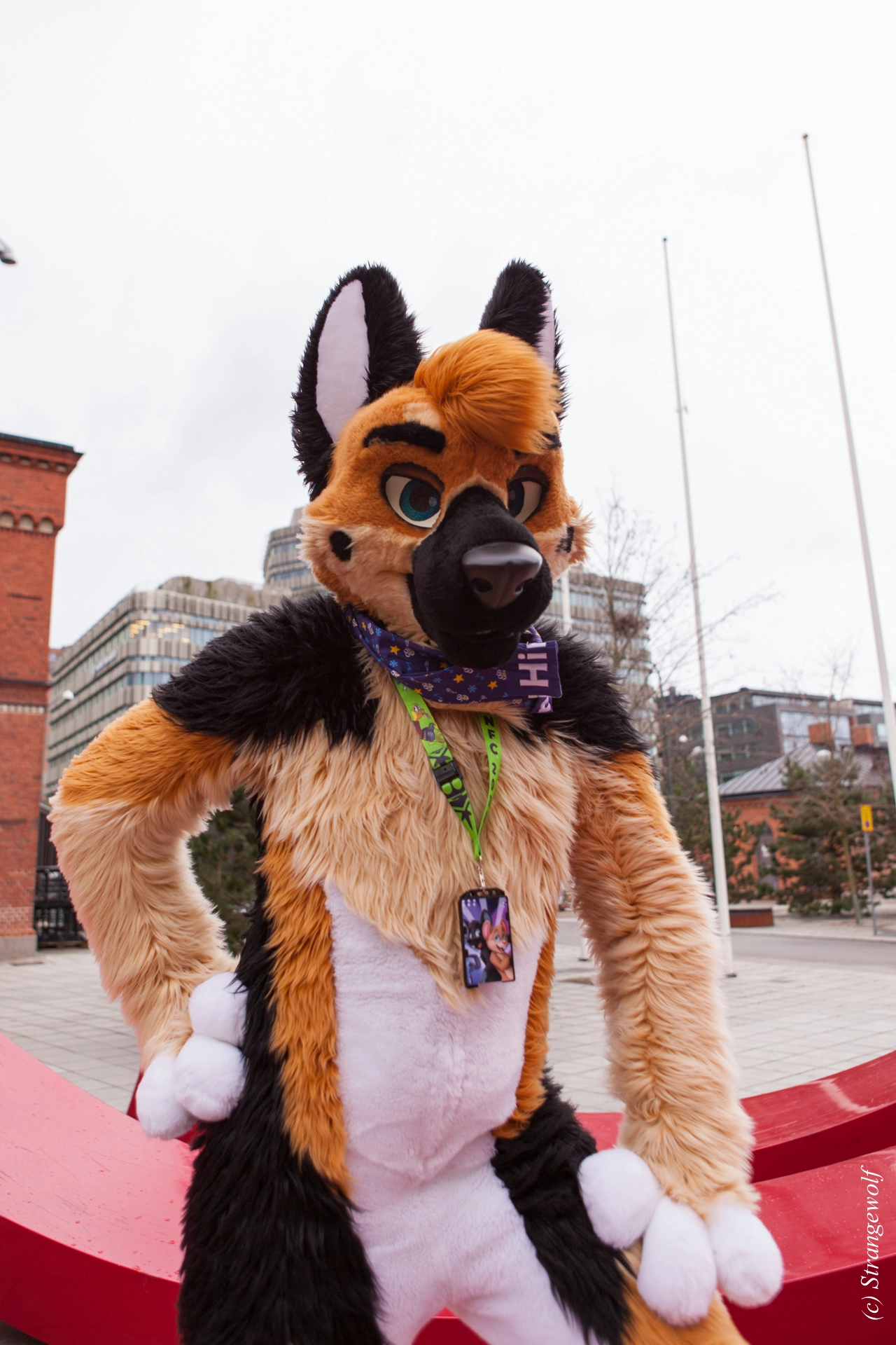 full image IMG_9040-lr19t.jpg