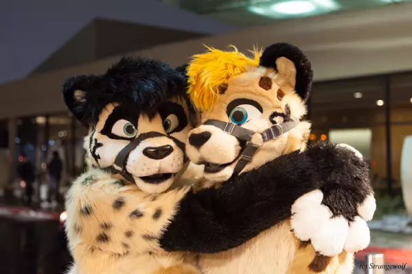 IMG_6936-lr19t.jpg of MFF/MFF2018/