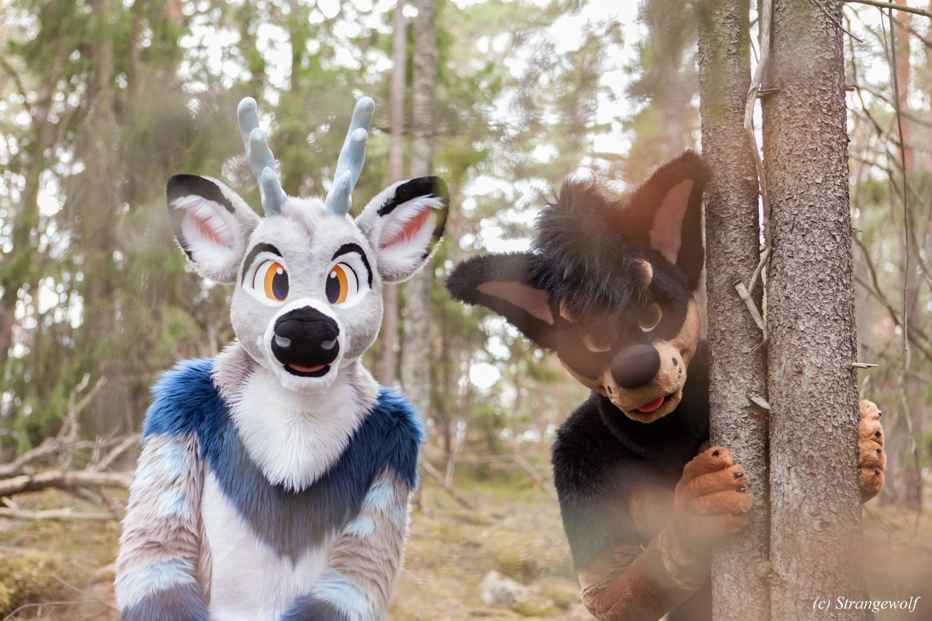 full image IMG_8544-lr19t.jpg