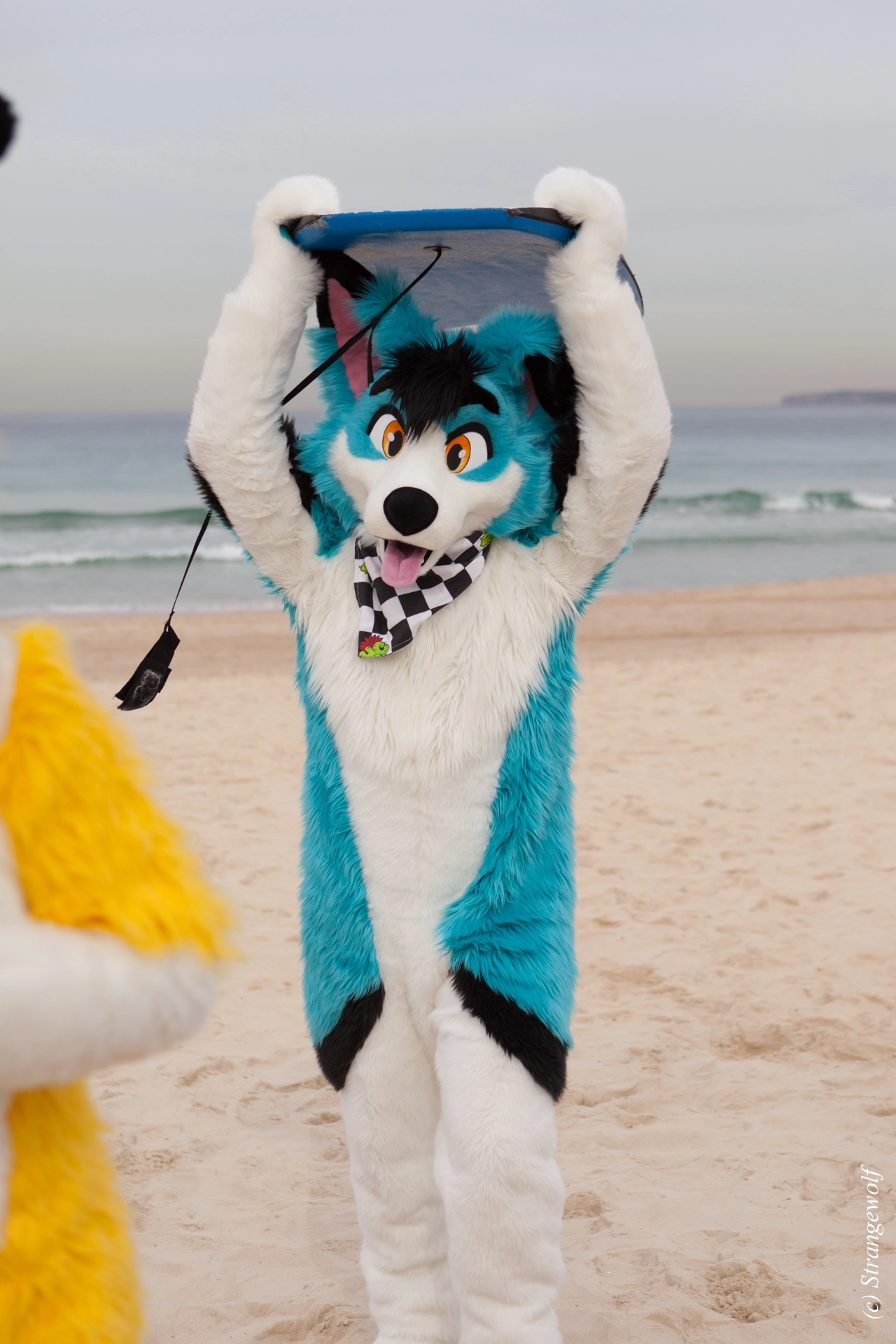 full image IMG_4481-lr19t.jpg