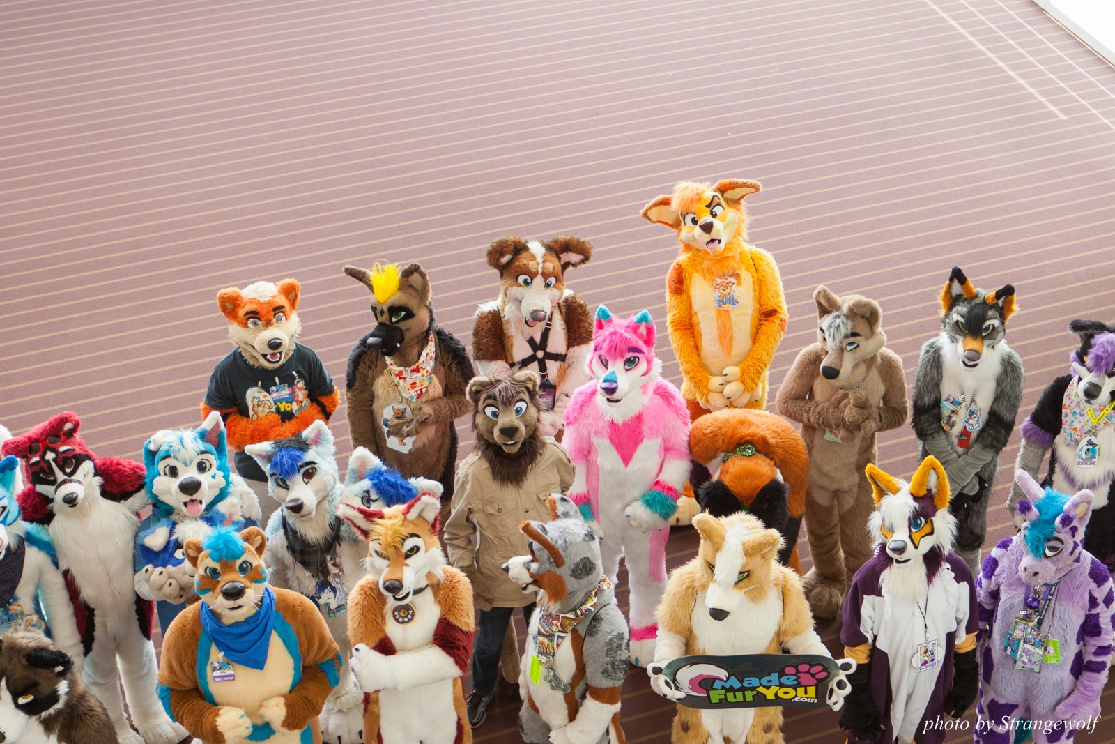 full image IMG_4079-lr16t.jpg