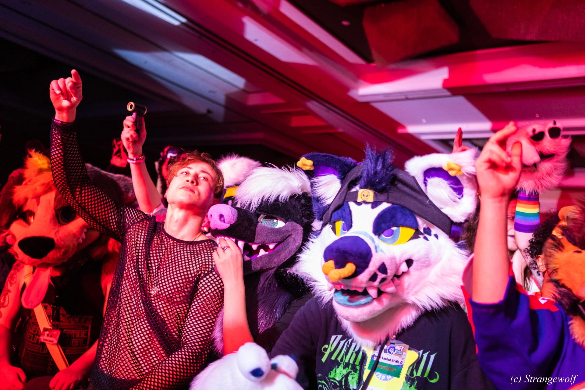 full image 1R3A6617-lr19t.jpg