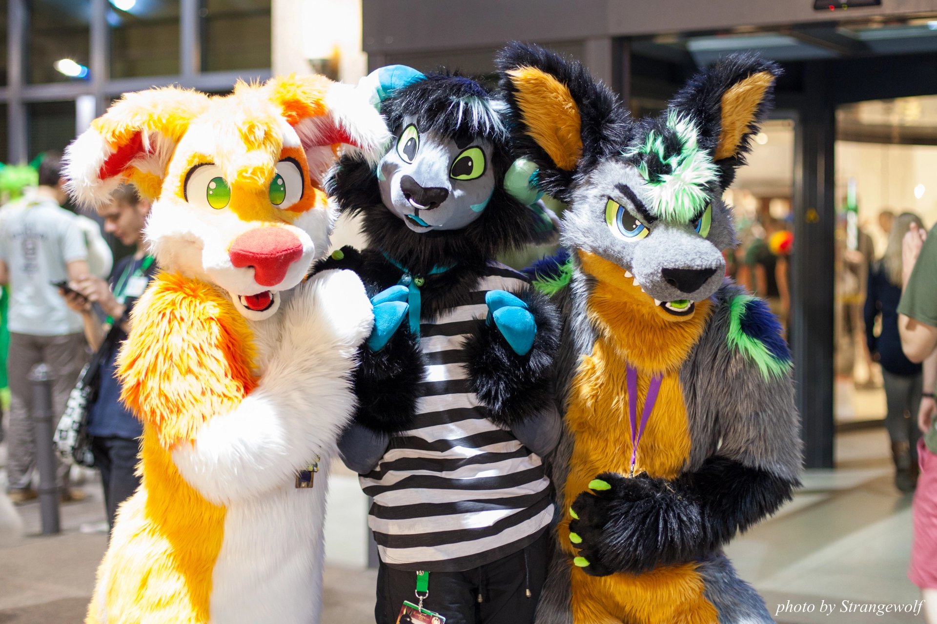 full image IMG_6324-lr19t.jpg