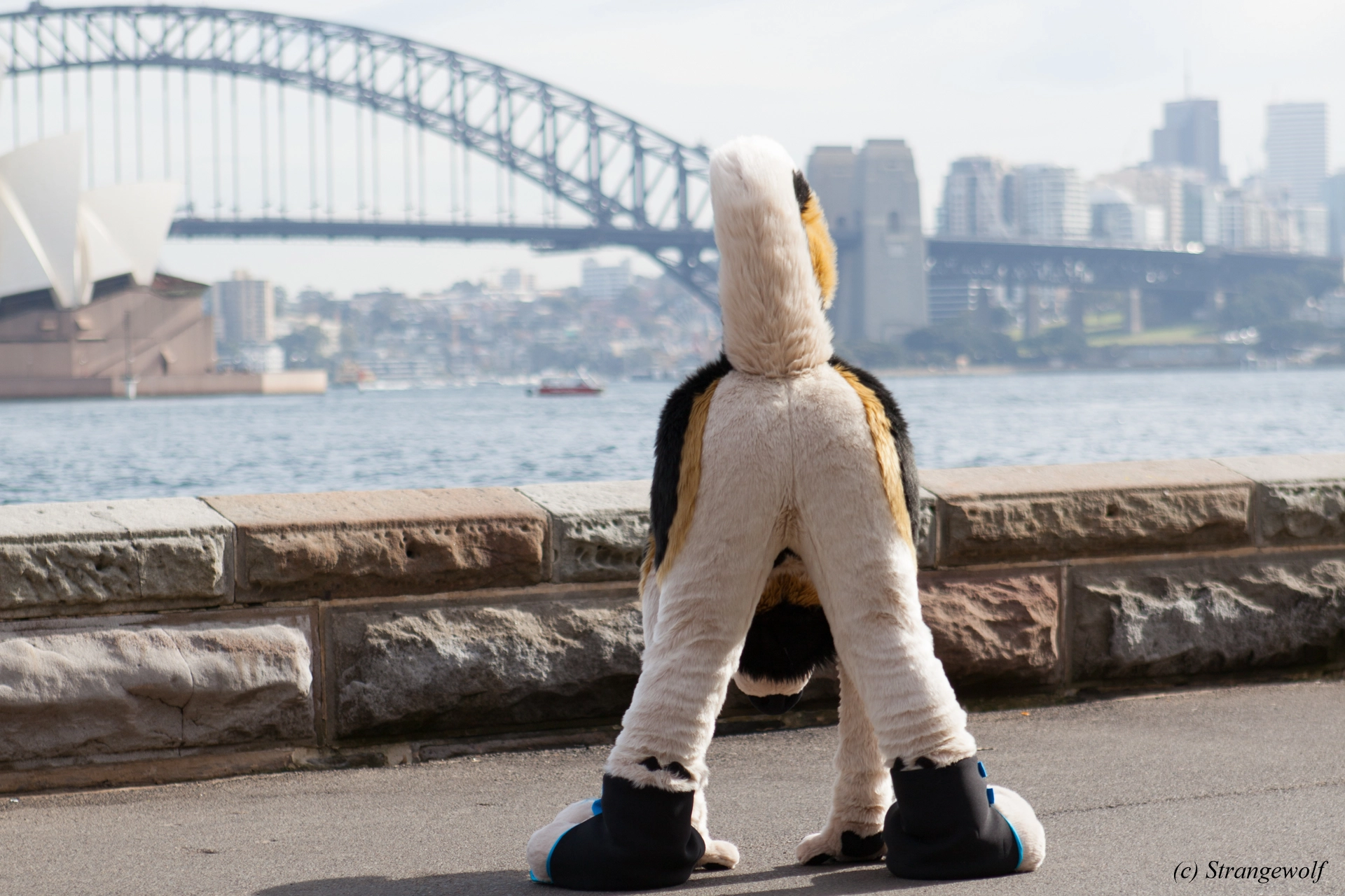 full image IMG_4356-lr19t.jpg