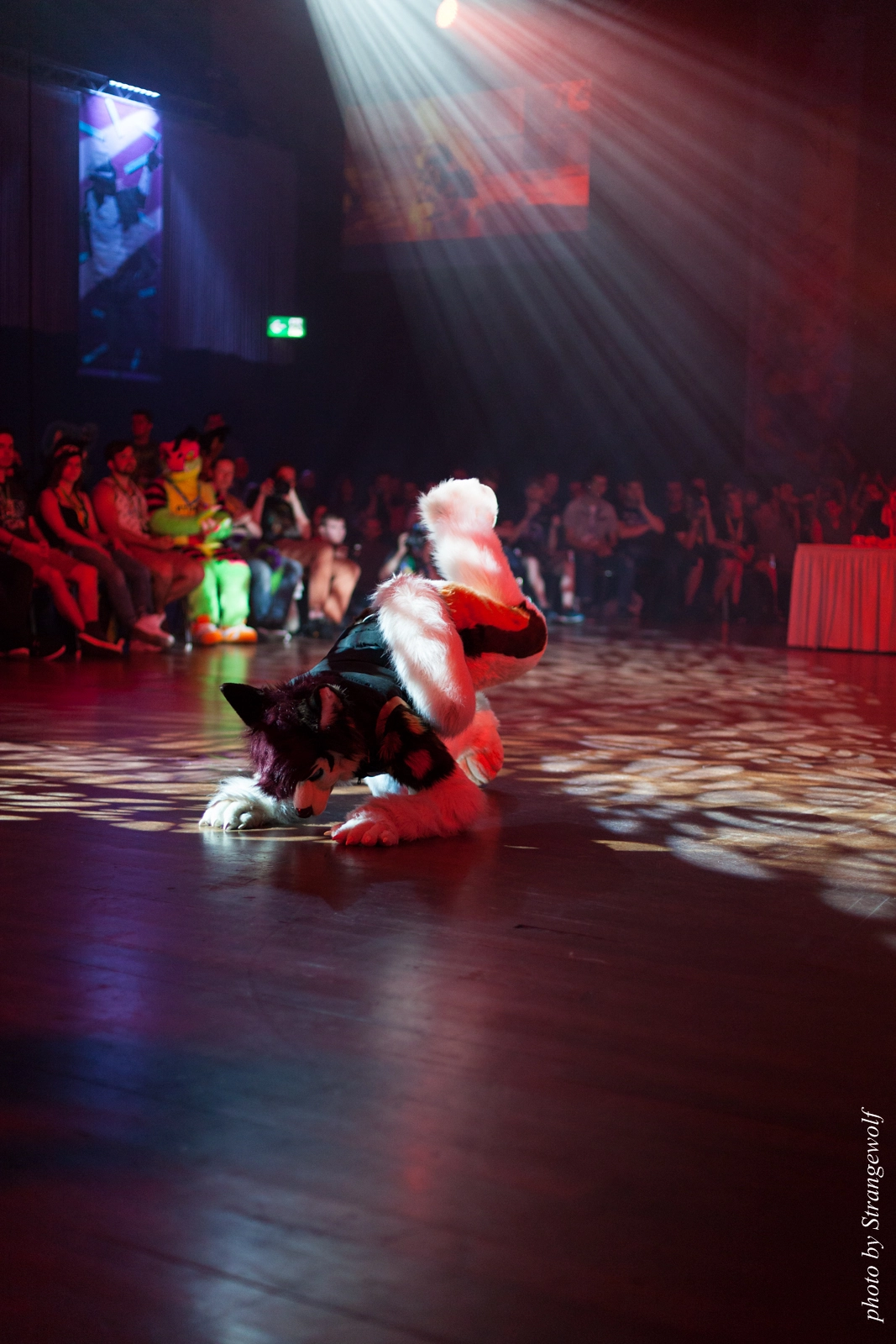 full image IMG_9446-lr16t.jpg
