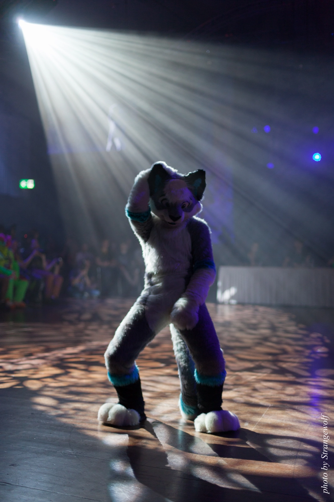 full image IMG_9117-lr16t.jpg