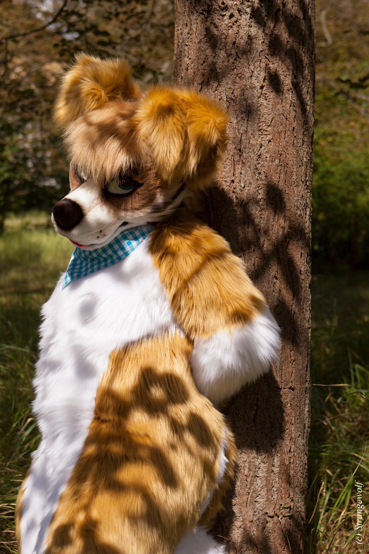 full image IMG_6191-lr19t.jpg