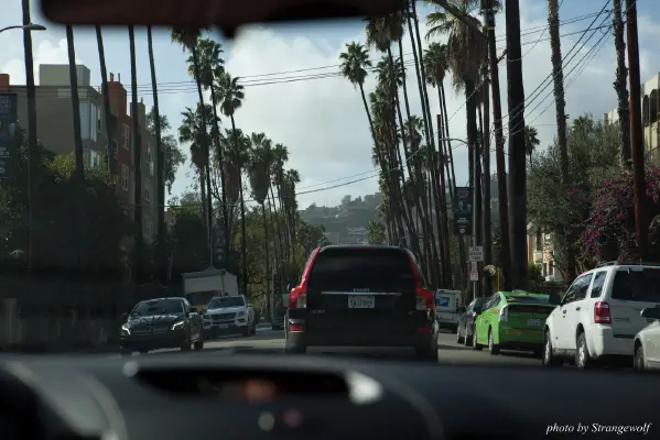 IMG_0985-lr16t.jpg of FC/FC2017/