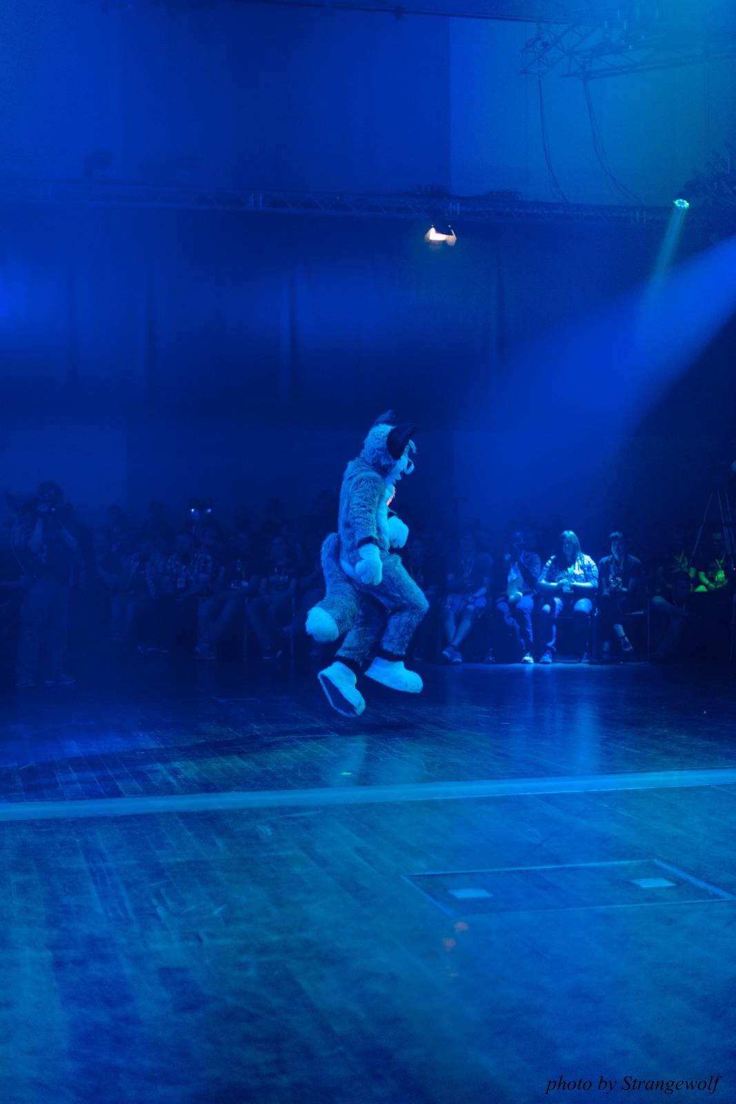 full image IMG_2900-lr16t.jpg