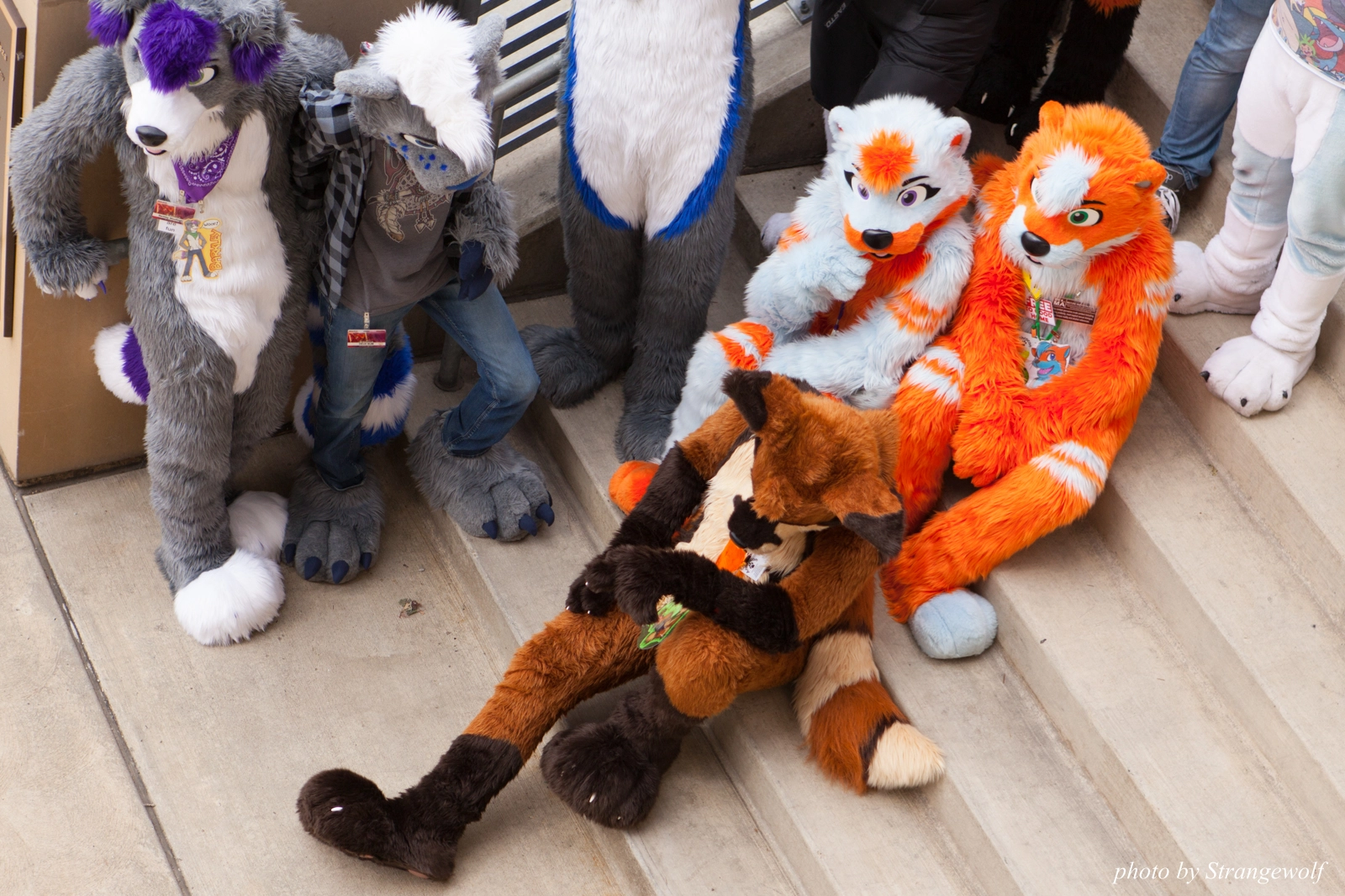 full image IMG_8304-lr16t.jpg