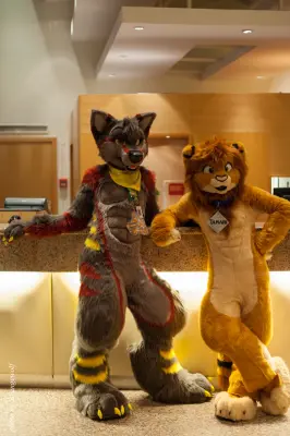 IMG_1599-lr16t.jpg of NFC/NFC2017/