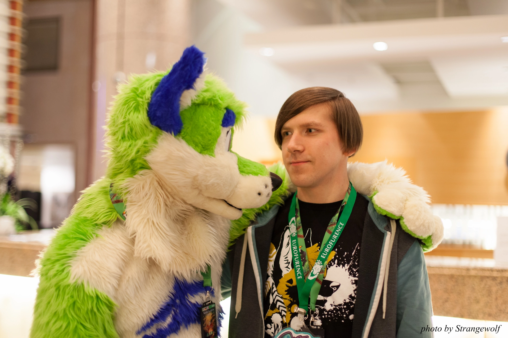 full image IMG_9200-lr19t.jpg