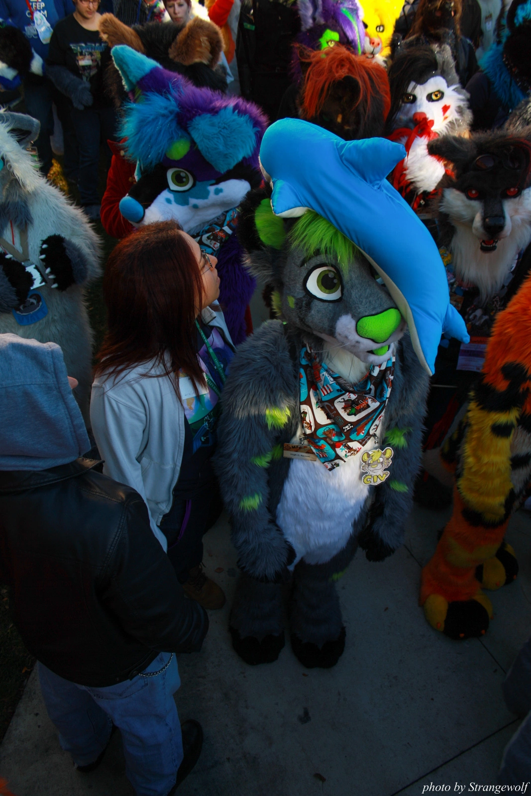 full image IMG_0713-lr.jpg