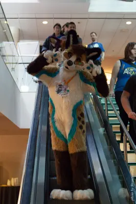 IMG_4128-lr16t.jpg of MFF/MFF2015/