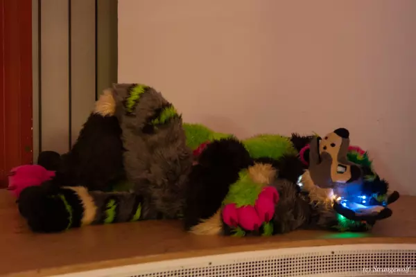 1R3A2672-lr19t.jpg of Furstrike/Furstrike 2022/