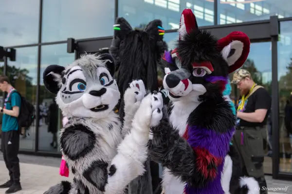 1R3A9108-lr19t.jpg of EF/EF29/