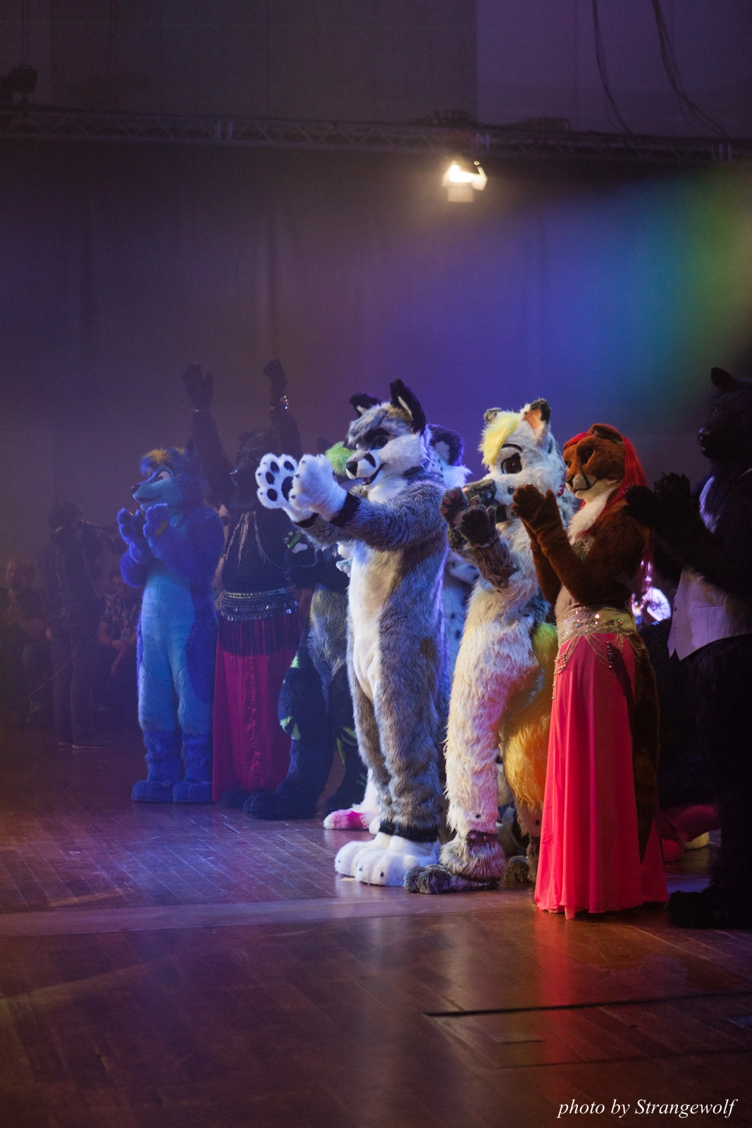 full image IMG_2989-lr16t.jpg