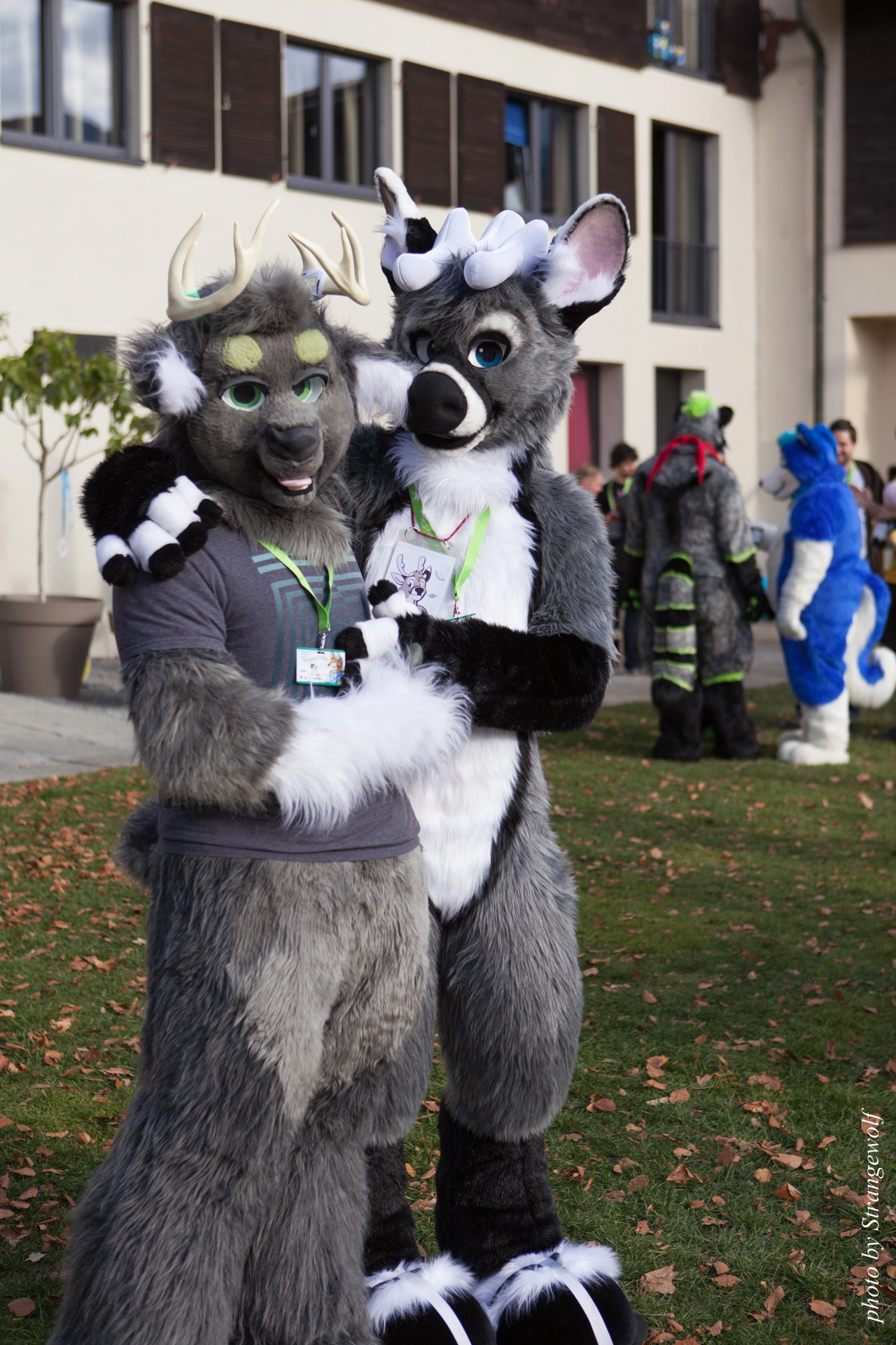 full image IMG_7808-lr19t.jpg